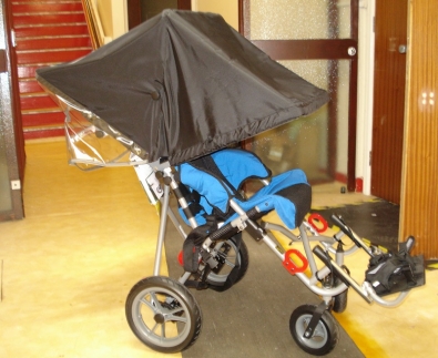 Private Buggy Sun Canopy